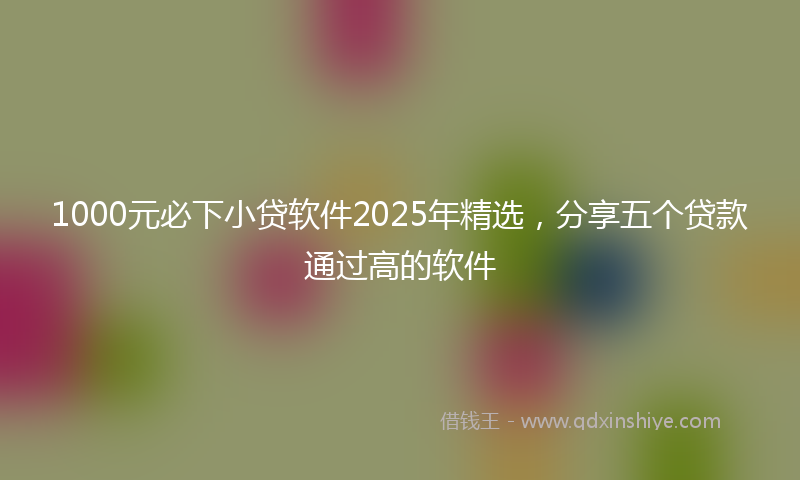 1000元必下小贷软件2025年精选，分享五个贷款通过高的软件