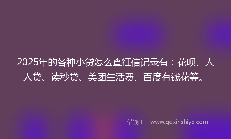 2025年的各种小贷怎么查征信记录有：花呗、人人贷、读秒贷、美团生活费、百度有钱花等。