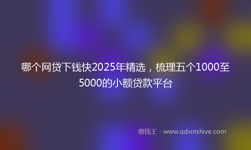 哪个网贷下钱快2025年精选，梳理五个1000至5000的小额贷款平台