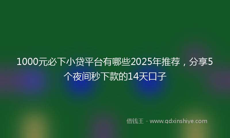 1000元必下小贷平台有哪些2025年推荐，分享5个夜间秒下款的14天口子
