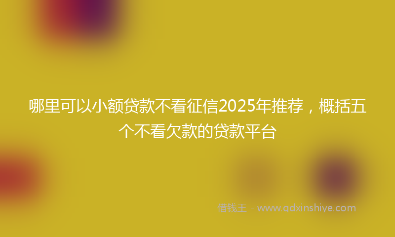 哪里可以小额贷款不看征信2025年推荐，概括五个不看欠款的贷款平台