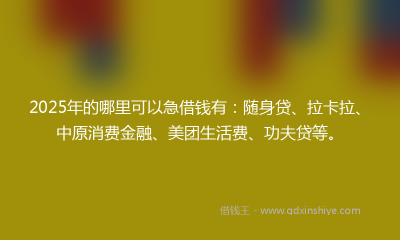 2025年的哪里可以急借钱有：随身贷、拉卡拉、中原消费金融、美团生活费、功夫贷等。