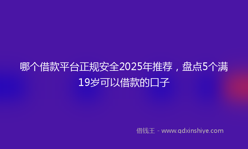 哪个借款平台正规安全2025年推荐，盘点5个满19岁可以借款的口子