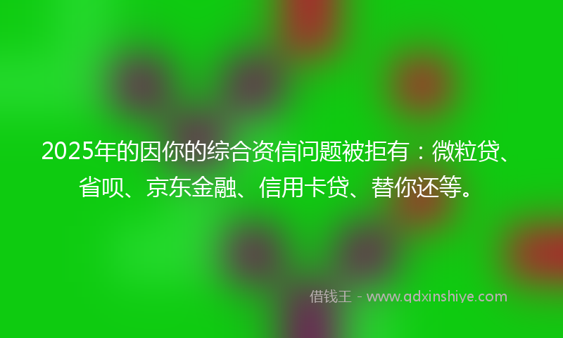 2025年的因你的综合资信问题被拒有：微粒贷、省呗、京东金融、信用卡贷、替你还等。