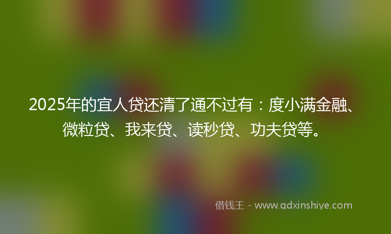 2025年的宜人贷还清了通不过有：度小满金融、微粒贷、我来贷、读秒贷、功夫贷等。