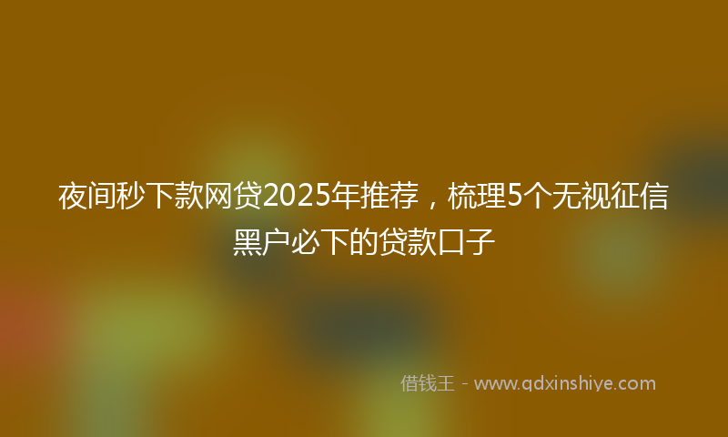 夜间秒下款网贷2025年推荐，梳理5个无视征信黑户必下的贷款口子
