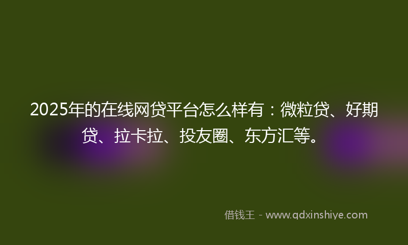 2025年的在线网贷平台怎么样有：微粒贷、好期贷、拉卡拉、投友圈、东方汇等。