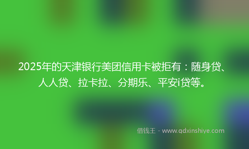 2025年的天津银行美团信用卡被拒有：随身贷、人人贷、拉卡拉、分期乐、平安i贷等。