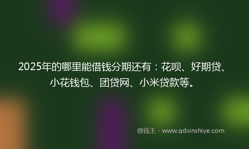 2025年的哪里能借钱分期还有：花呗、好期贷、小花钱包、团贷网、小米贷款等。
