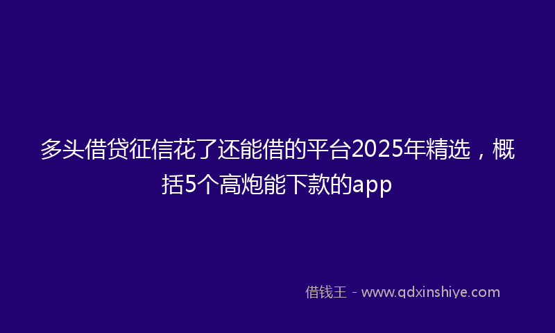 多头借贷征信花了还能借的平台2025年精选，概括5个高炮能下款的app
