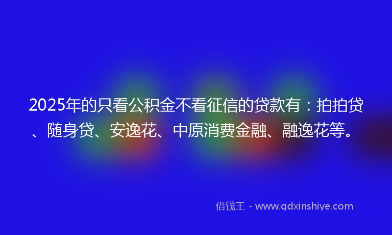 2025年的只看公积金不看征信的贷款有：拍拍贷、随身贷、安逸花、中原消费金融、融逸花等。