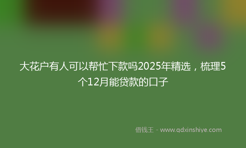 大花户有人可以帮忙下款吗2025年精选，梳理5个12月能贷款的口子