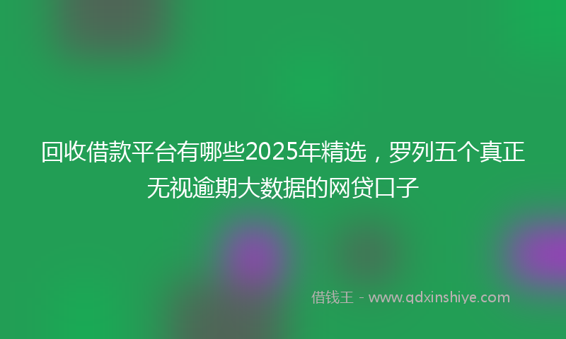 回收借款平台有哪些2025年精选，罗列五个真正无视逾期大数据的网贷口子
