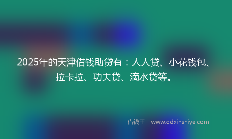 2025年的天津借钱助贷有：人人贷、小花钱包、拉卡拉、功夫贷、滴水贷等。