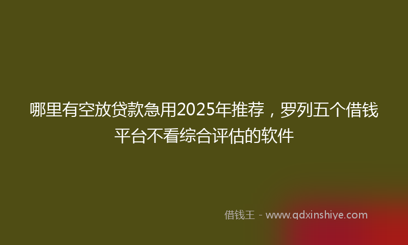 哪里有空放贷款急用2025年推荐，罗列五个借钱平台不看综合评估的软件