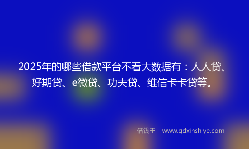 2025年的哪些借款平台不看大数据有：人人贷、好期贷、e微贷、功夫贷、维信卡卡贷等。