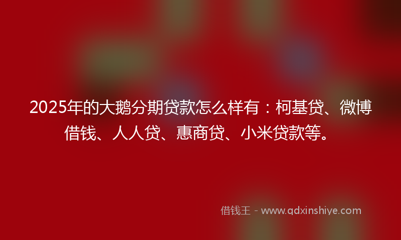 2025年的大鹅分期贷款怎么样有：柯基贷、微博借钱、人人贷、惠商贷、小米贷款等。