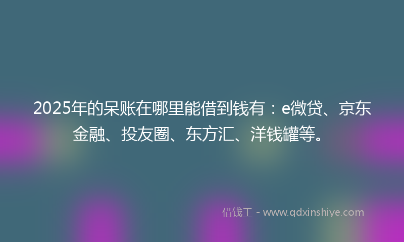 2025年的呆账在哪里能借到钱有：e微贷、京东金融、投友圈、东方汇、洋钱罐等。