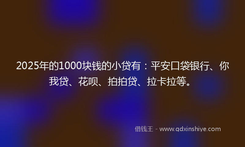 2025年的1000块钱的小贷有：平安口袋银行、你我贷、花呗、拍拍贷、拉卡拉等。