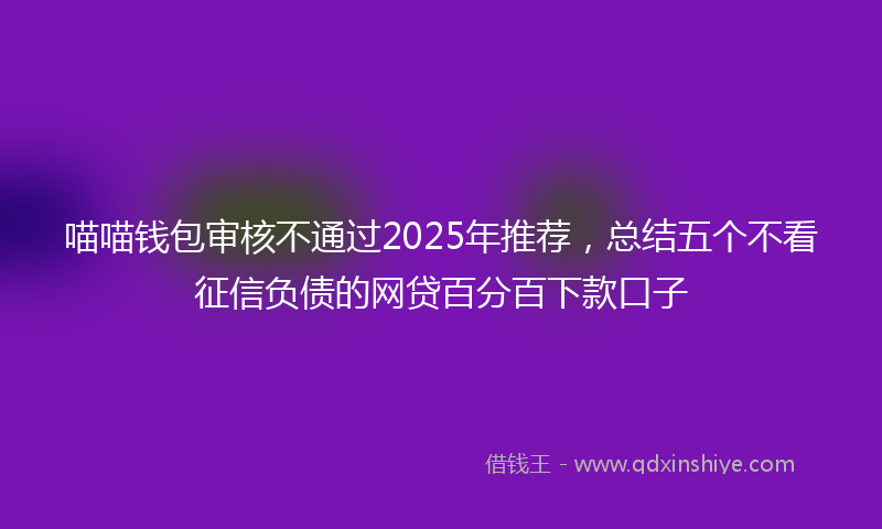 喵喵钱包审核不通过2025年推荐，总结五个不看征信负债的网贷百分百下款口子