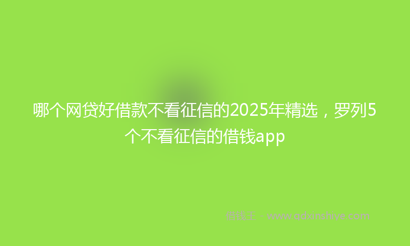 哪个网贷好借款不看征信的2025年精选，罗列5个不看征信的借钱app