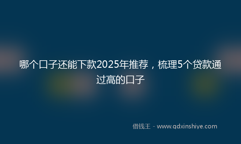 哪个口子还能下款2025年推荐，梳理5个贷款通过高的口子