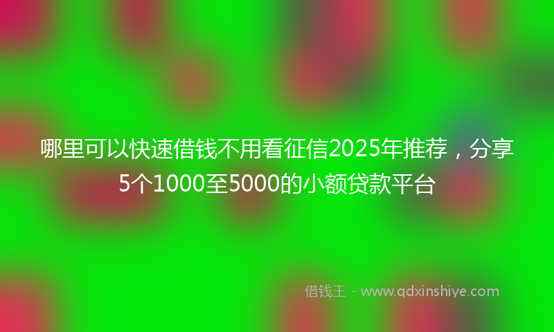 哪里可以快速借钱不用看征信2025年推荐，分享5个1000至5000的小额贷款平台