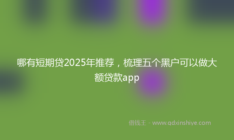 哪有短期贷2025年推荐，梳理五个黑户可以做大额贷款app