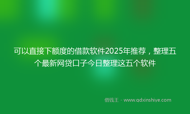 可以直接下额度的借款软件2025年推荐，整理五个最新网贷口子今日整理这五个软件