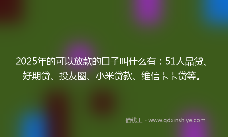 2025年的可以放款的口子叫什么有：51人品贷、好期贷、投友圈、小米贷款、维信卡卡贷等。
