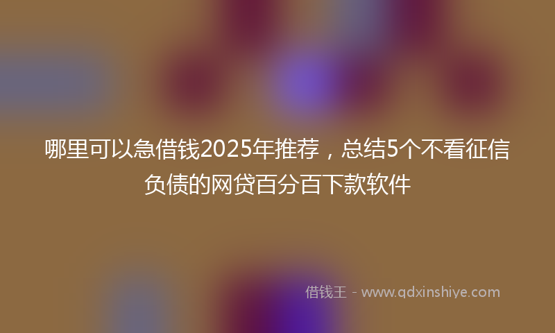 哪里可以急借钱2025年推荐，总结5个不看征信负债的网贷百分百下款软件