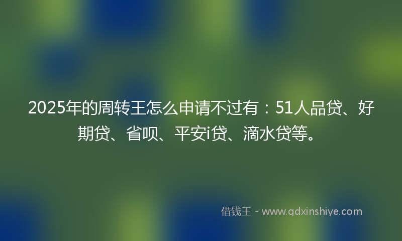 2025年的周转王怎么申请不过有：51人品贷、好期贷、省呗、平安i贷、滴水贷等。