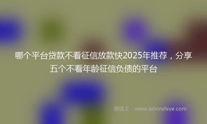哪个平台贷款不看征信放款快2025年推荐，分享五个不看年龄征信负债的平台