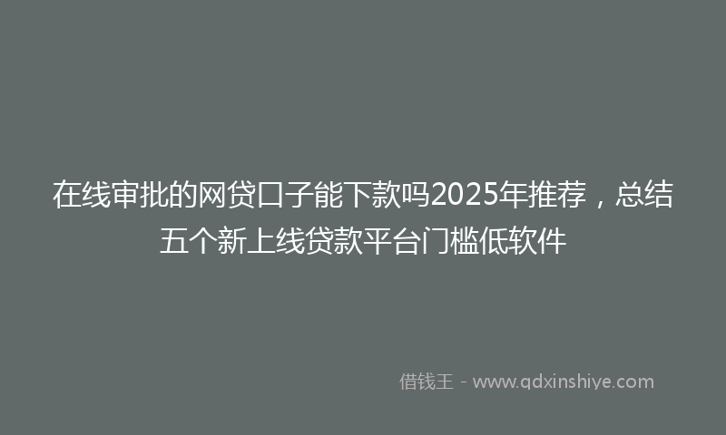 在线审批的网贷口子能下款吗2025年推荐，总结五个新上线贷款平台门槛低软件