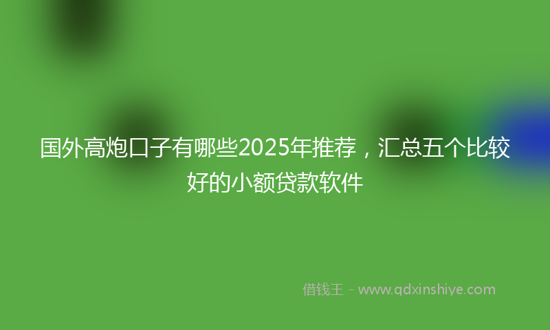 国外高炮口子有哪些2025年推荐，汇总五个比较好的小额贷款软件