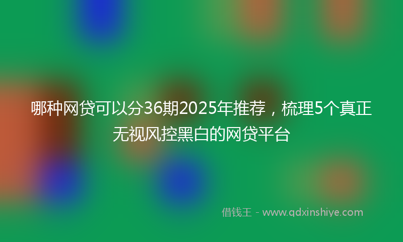 哪种网贷可以分36期2025年推荐，梳理5个真正无视风控黑白的网贷平台