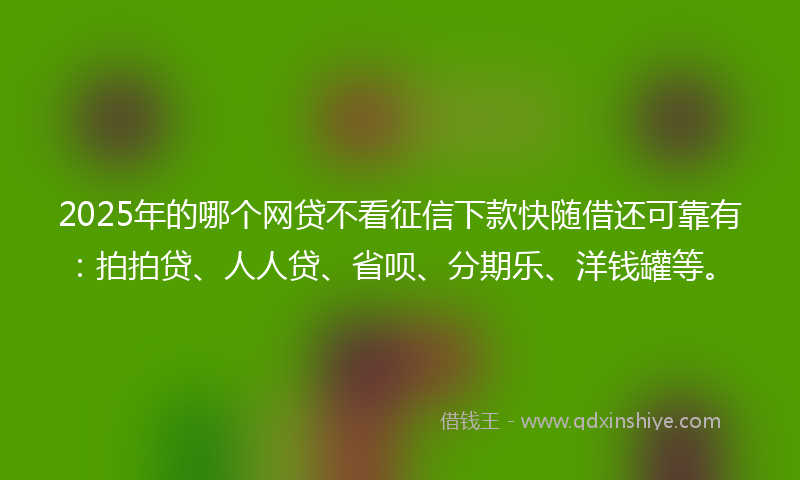 2025年的哪个网贷不看征信下款快随借还可靠有：拍拍贷、人人贷、省呗、分期乐、洋钱罐等。