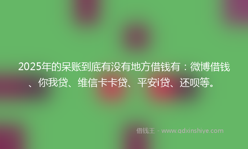2025年的呆账到底有没有地方借钱有：微博借钱、你我贷、维信卡卡贷、平安i贷、还呗等。