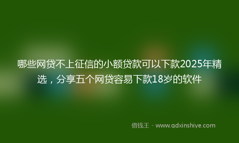 哪些网贷不上征信的小额贷款可以下款2025年精选，分享五个网贷容易下款18岁的软件