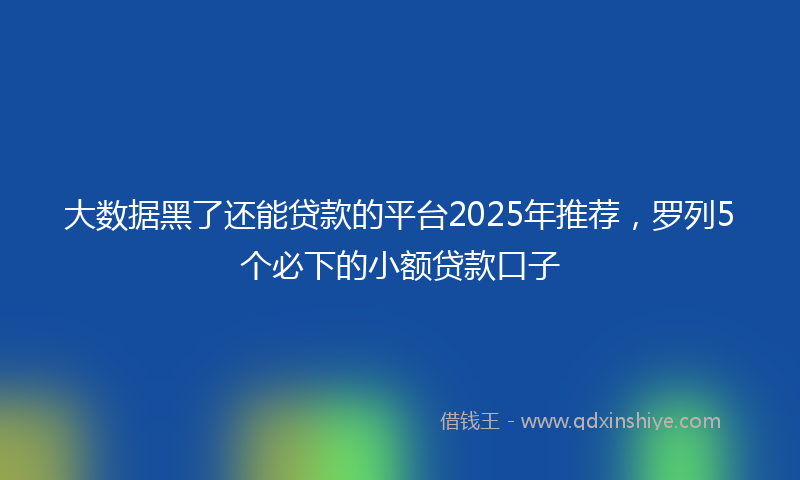 大数据黑了还能贷款的平台2025年推荐，罗列5个必下的小额贷款口子