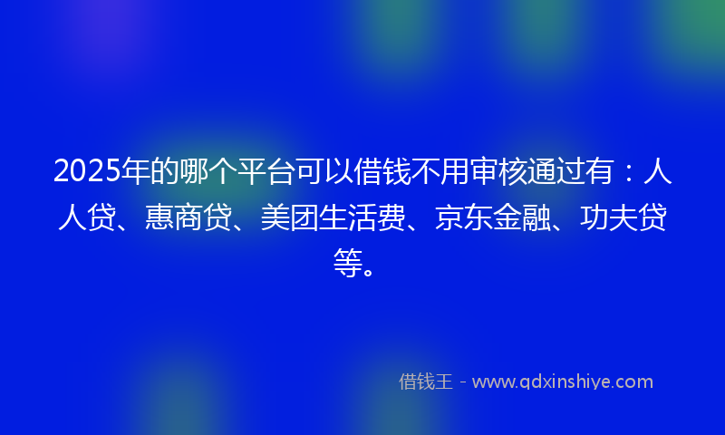 2025年的哪个平台可以借钱不用审核通过有：人人贷、惠商贷、美团生活费、京东金融、功夫贷等。