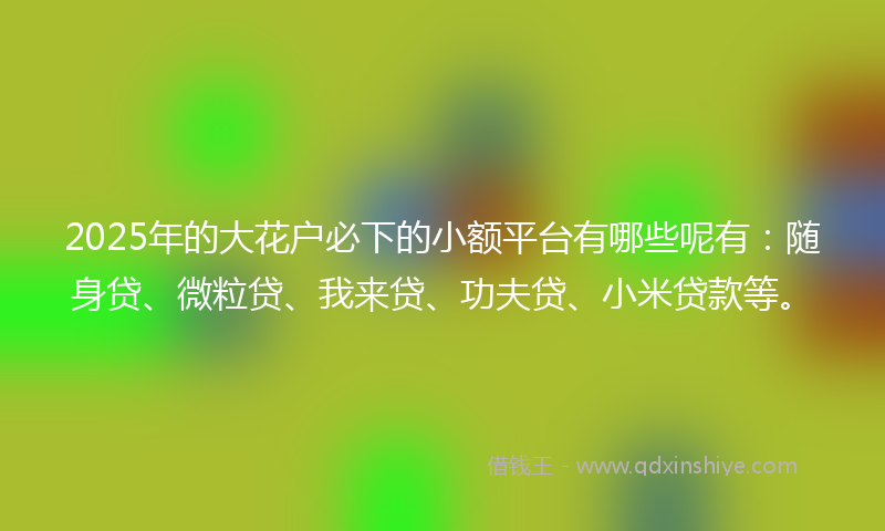 2025年的大花户必下的小额平台有哪些呢有：随身贷、微粒贷、我来贷、功夫贷、小米贷款等。