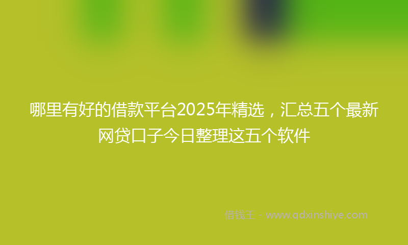 哪里有好的借款平台2025年精选，汇总五个最新网贷口子今日整理这五个软件