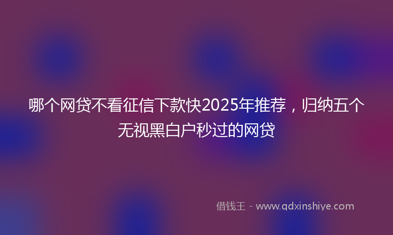 哪个网贷不看征信下款快2025年推荐，归纳五个无视黑白户秒过的网贷
