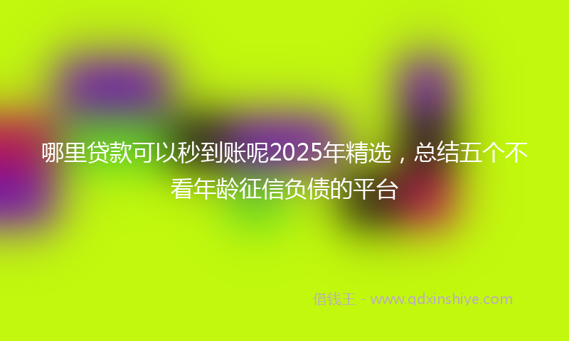 哪里贷款可以秒到账呢2025年精选，总结五个不看年龄征信负债的平台