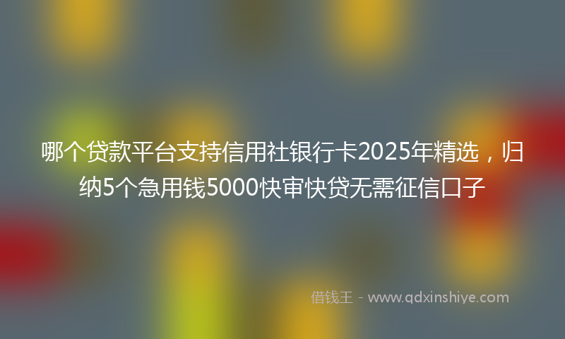 哪个贷款平台支持信用社银行卡2025年精选，归纳5个急用钱5000快审快贷无需征信口子