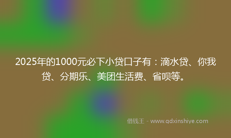2025年的1000元必下小贷口子有：滴水贷、你我贷、分期乐、美团生活费、省呗等。
