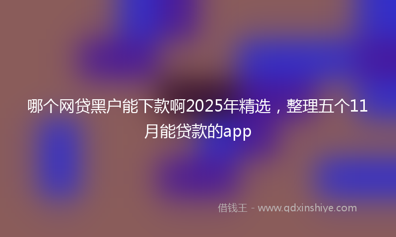 哪个网贷黑户能下款啊2025年精选，整理五个11月能贷款的app