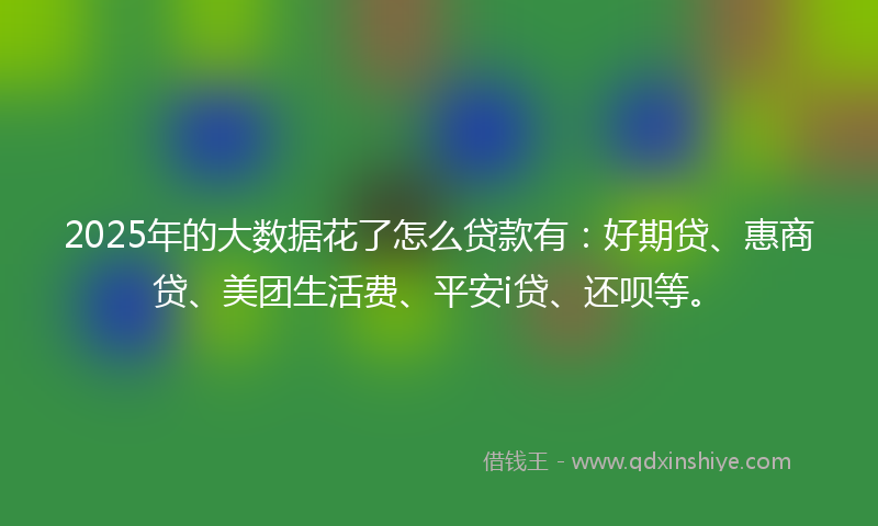 2025年的大数据花了怎么贷款有：好期贷、惠商贷、美团生活费、平安i贷、还呗等。