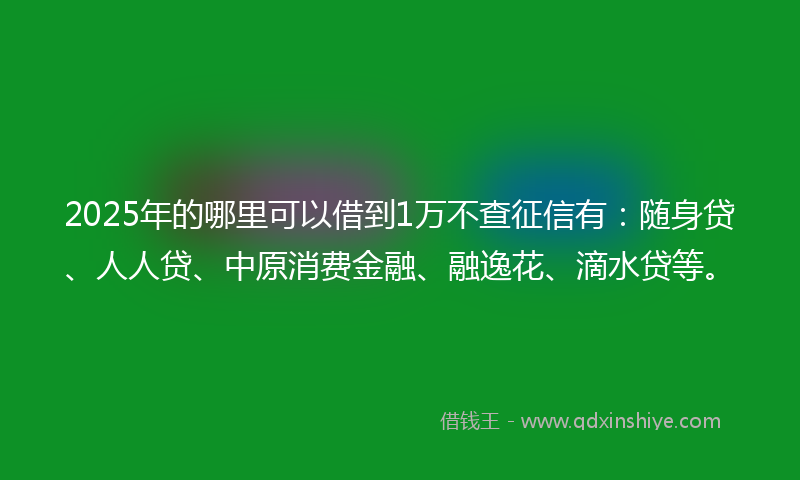 2025年的哪里可以借到1万不查征信有：随身贷、人人贷、中原消费金融、融逸花、滴水贷等。